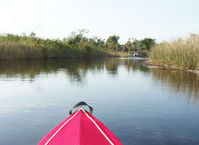 Kayaking and Canoeing